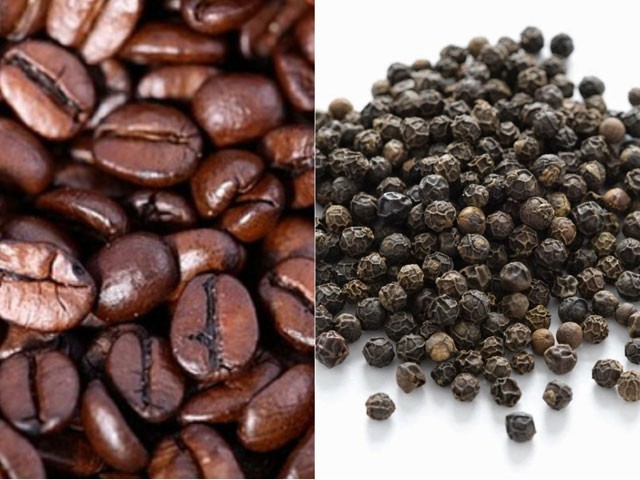 Giá cà phê và hạt tiêu tăng sốc, người nông dân 'đi hết từ bất ngờ này đến bất ngờ khác'