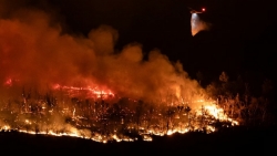 Cháy rừng nghiêm trọng ở California, Mỹ
