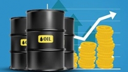 Giá xăng dầu hôm nay 7/7: Ghi nhận tuần tăng giá