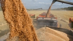 Nga kéo dài thêm 6 tháng lệnh cấm xuất khẩu gạo và yến mạch