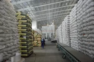 Vietnamese rice export prices stay high in H1 Vietnamese rice export prices stay high in H1