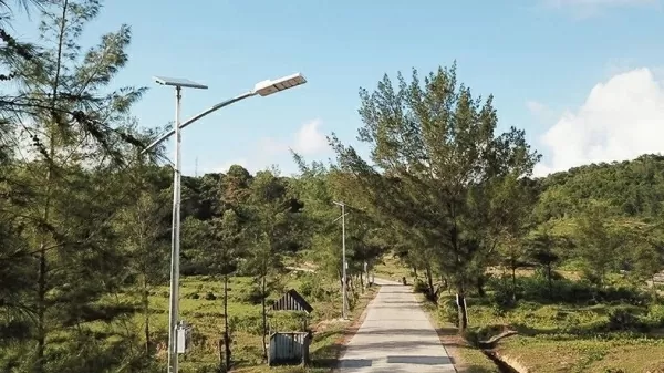 Solar-powered lighting system developed for borders, islands: Rang Dong company