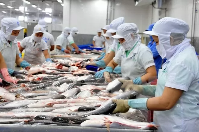 Vietnam's H1 seafood exports hit 4.4 billion USD