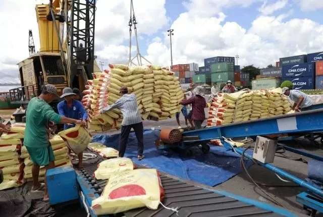 Vietnam, Philippines Agriculture Ministers agree to establish rice industry alliance