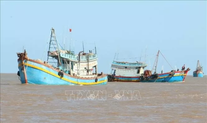 Ben Tre province takes concerted efforts to combat IUU fishing