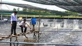 Over 23 million USD for Ca Mau’s fisheries sustainable development