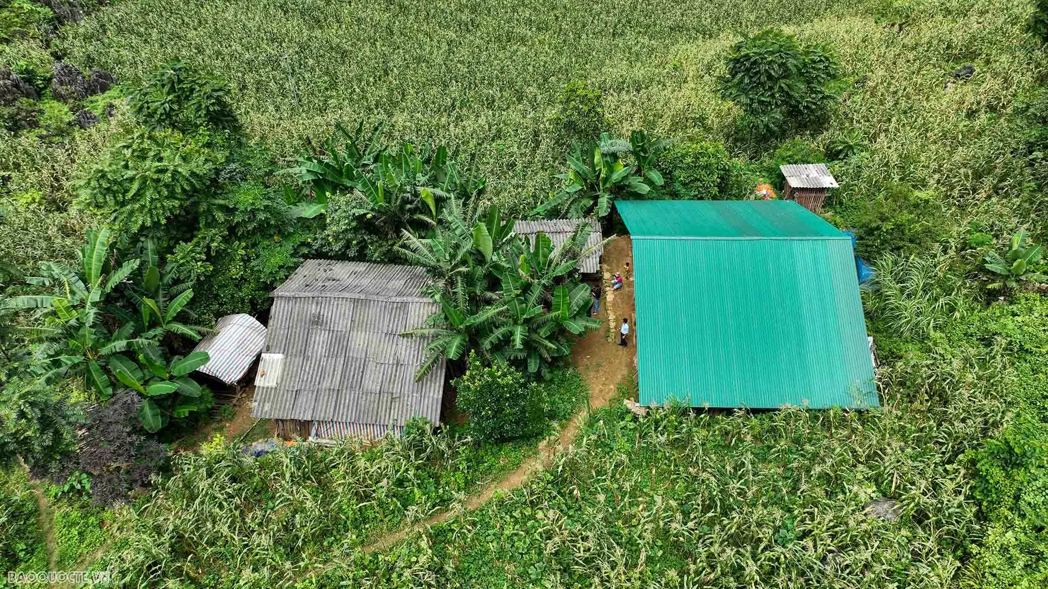 Bài 1: Từ căn nhà kiên cố giữa nương ngô và ước mơ đổi thay của người dân vùng biên Bài 1: Từ căn nhà kiên cố giữa nương ngô và ước mơ đổi thay của người dân vùng biên