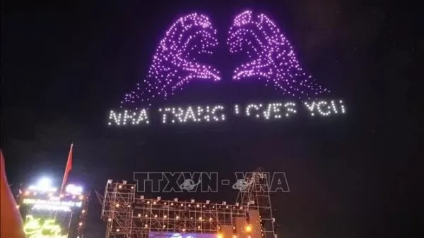 Nha Trang international light festival: International cultural and entertainment event