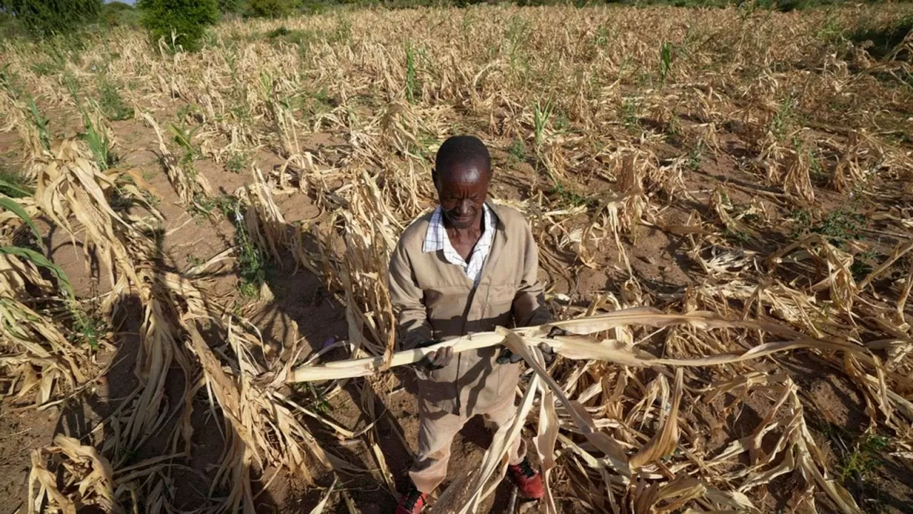 Zimbabwe là một trong số các quốc gia ở Nam Phi đang phải đối mặt tình trạng khan hiếm lương thực do đợt khô hạn nghiêm trọng kéo dài. (Nguồn: Sky News)