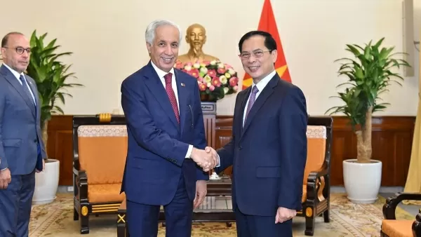 FM Bui Thanh Son receives Qatari Minister of State, lauding outcomes of political consultation