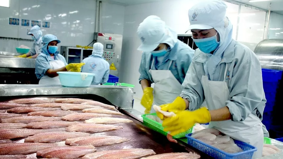 Wave of momentum to float Vietnam's seafood exports to 10–15% growth