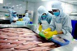Xuất khẩu thủy sản Việt Nam sang Singapore duy trì tăng trưởng thị phần