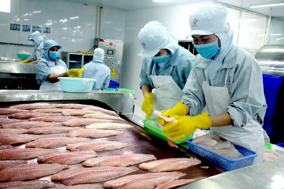 Xuất khẩu thủy sản Việt Nam sang Singapore duy trì tăng trưởng thị phần. (Nguồn: Đaidoanket) Xuất khẩu thủy sản Việt Nam sang Singapore duy trì tăng trưởng thị phần. (Nguồn: Đaidoanket)