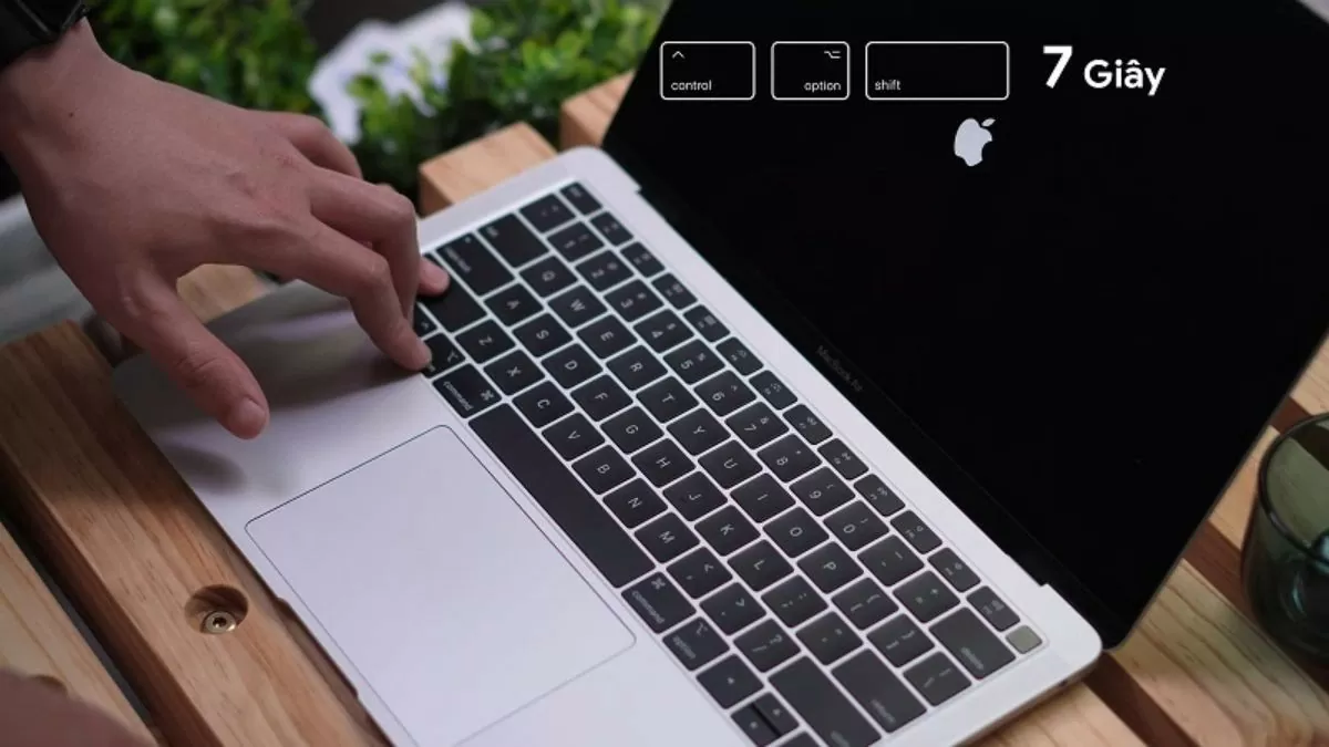 Mách bạn 8 cách sửa lỗi bàn phím MacBook không gõ được