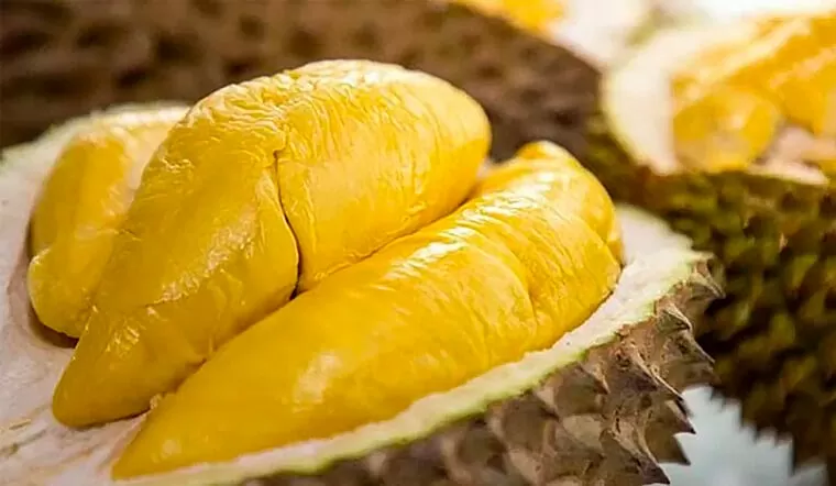 Insiders optimistic about durian export to China