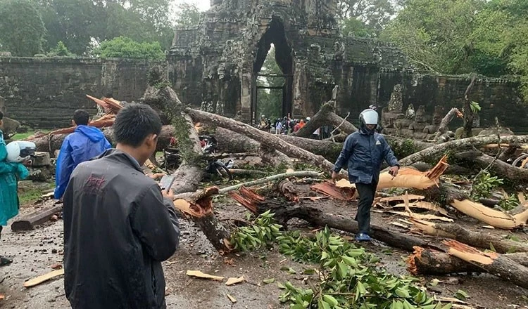 Campuchia: Mưa giông, 1 người thiệt mạng do cây cổ thụ đổ trước đền Angkor Thom Campuchia: Mưa giông, 1 người thiệt mạng do cây cổ thụ đổ trước đền Angkor Thom