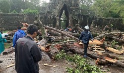 Campuchia: Mưa giông, một du khách thiệt mạng do cây cổ thụ đổ trước đền Angkor Thom