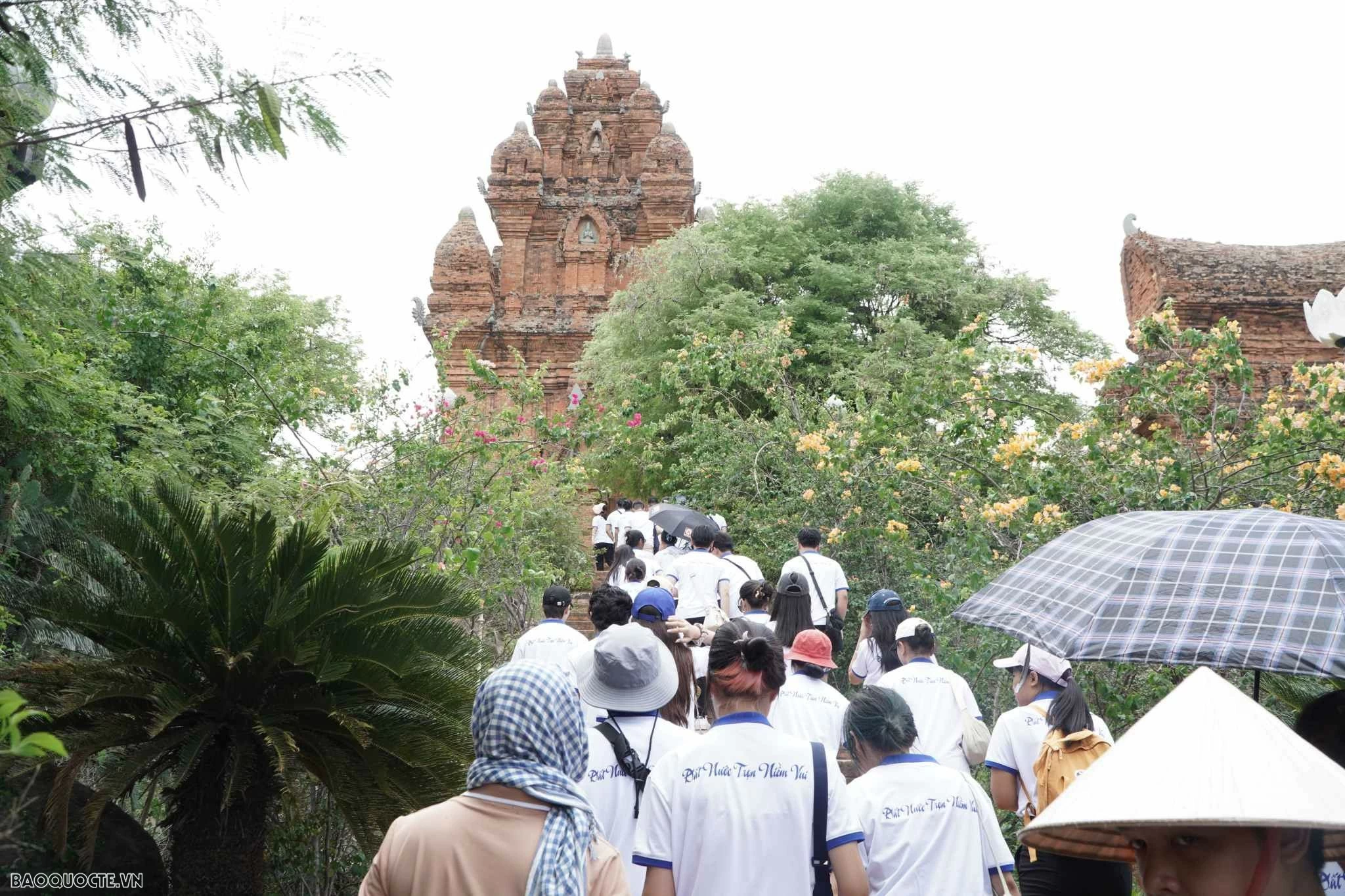Trại hè Việt Nam 2024: Kiều bào trẻ khám phá văn hoá Chăm và nghĩa cử cao đẹp