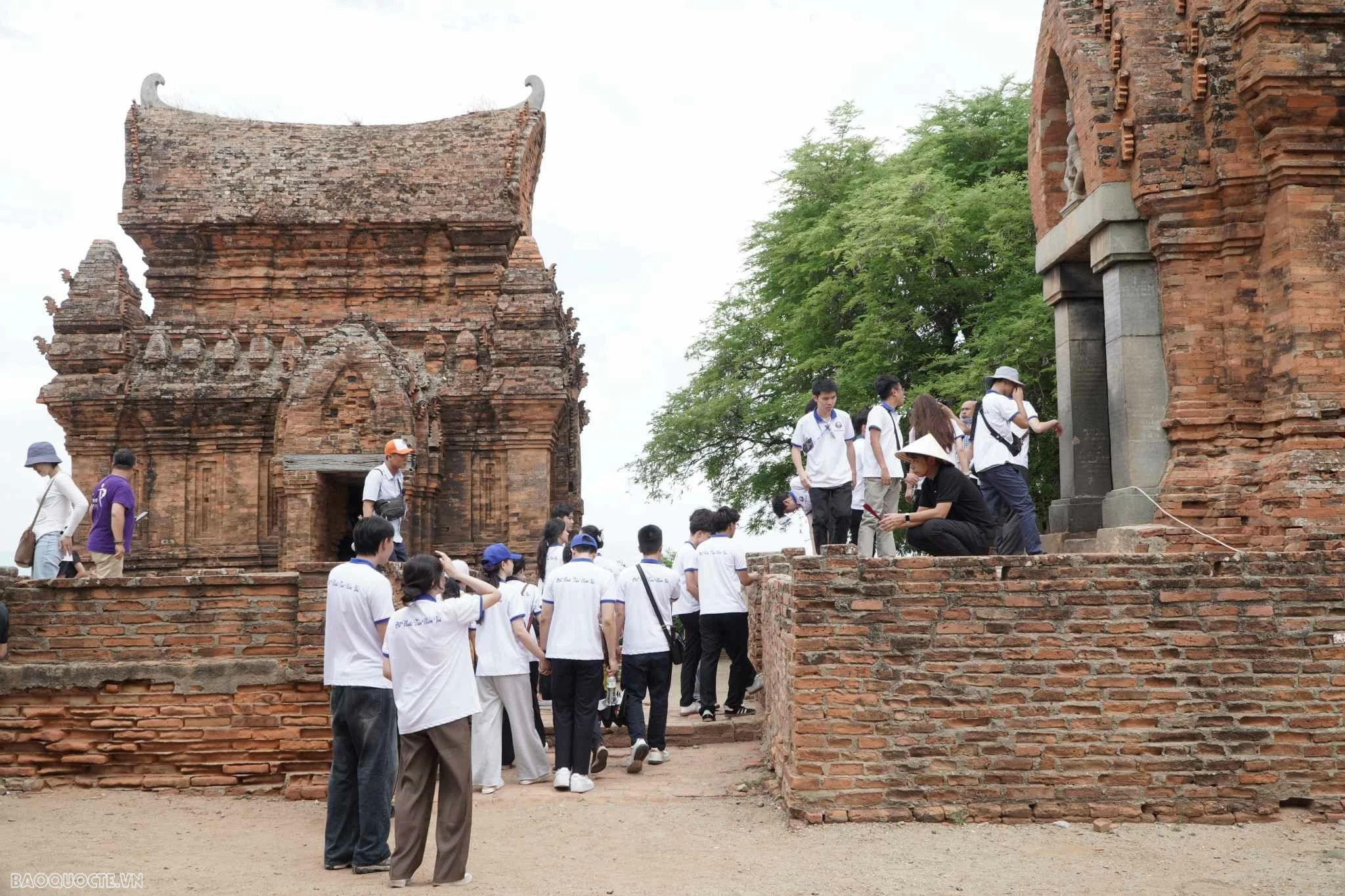 Trại hè Việt Nam 2024: Kiều bào trẻ khám phá văn hoá Chăm và nghĩa cử cao đẹp