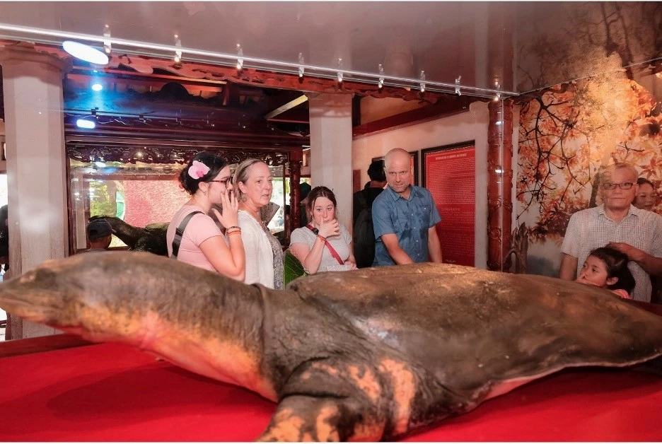 Assoc. Prof. Shannon Gramse, together with his wife Professor Sarah Kirk and their daughter, visited Ngoc Son Temple to see the revered turtle specimen.