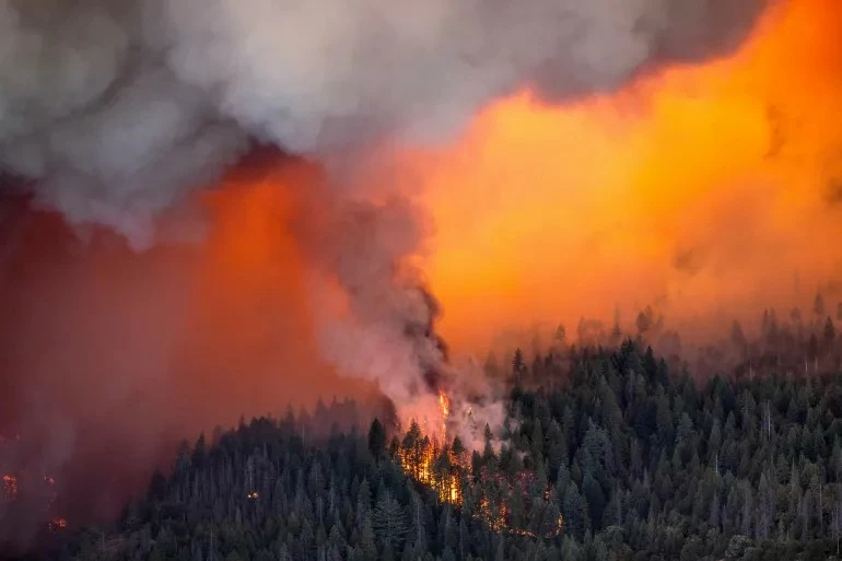 Mỹ: Gần 2.500 lính cứu hỏa đang chiến đấu với vụ cháy rừng nghiêm trọng ở California