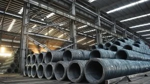 Trade measures needed to save domestic steel industry: experts