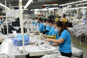 Apparel firms enjoy better business on rising orders