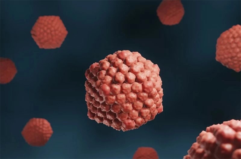 Virus herpes simplex có thể tấn công hệ thống thần kinh trung ương. Ảnh: Shutterstock