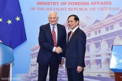 Bộ trưởng Ngoại giao Bùi Thanh Sơn đề nghị Liên minh châu Âu tiếp tục duy trì ODA cho Việt Nam