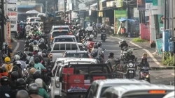 Indonesia: Lý do du khách ngày càng sợ 'món' này ở Bali