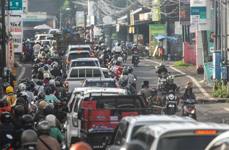 Indonesia: Lý do du khách ngày càng sợ 'món' này ở Bali