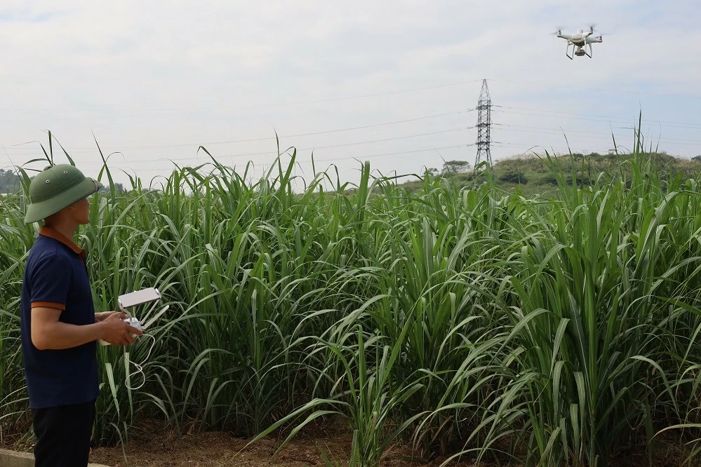 Australia supports sustainable agriculture innovations in Vietnam