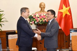 Việt Nam-Nhật Bản thúc đẩy hợp tác chuyển đổi năng lượng, chuyển đổi xanh