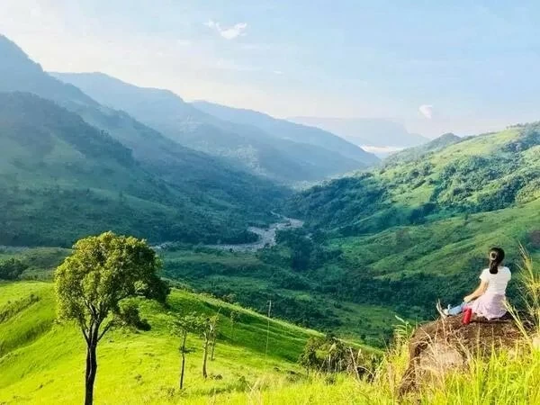 Khánh Hoà: Ngắm vẻ đẹp rộng lớn của thảo nguyên Tà Giang Khánh Hoà: Ngắm vẻ đẹp rộng lớn của thảo nguyên Tà Giang