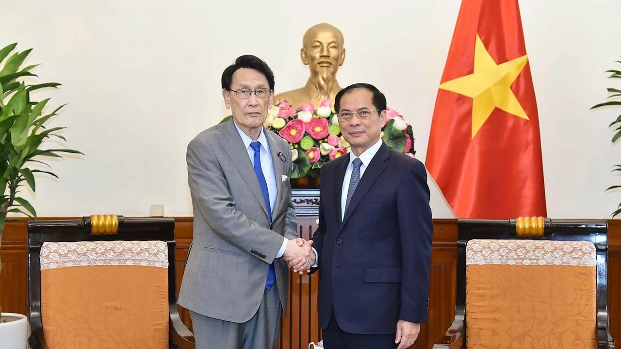 FM Bui Thanh Son receives head of Japanese LDP's Policy Research Council