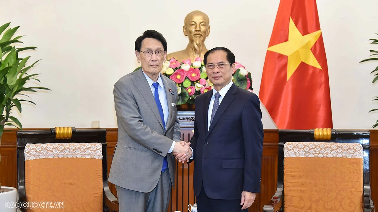 Đề nghị Nhật Bản hỗ trợ Việt Nam trong các lĩnh vực mới chuyển đổi xanh, bán dẫn