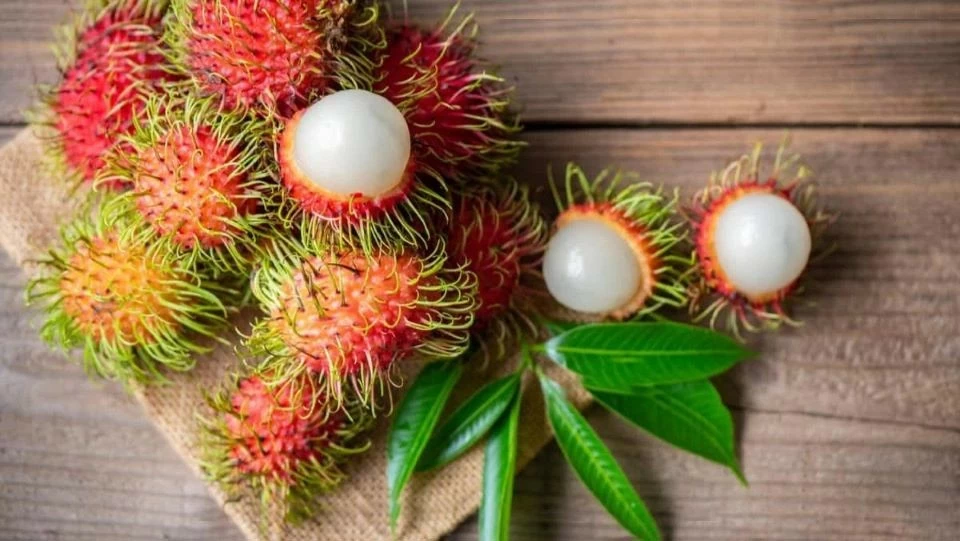 Xuất khẩu ngày Xuất khẩu ngày 29/7-4/8: Hàng hóa Việt Nam ngày càng được ưa chuộng tại Hoa Kỳ; Trung Quốc tiếp tục là thị trường số một của nông sản Việt trong RCEP