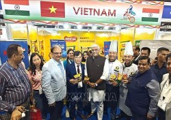 Việt Nam là quốc gia đối tác của Triển lãm quốc tế về thực phẩm và đồ dùng cho nhà hàng, khách sạn Ấn Độ (IHE) 2024