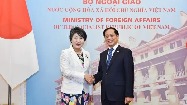 Foreign Minister Bui Thanh Son to pay an official visit to Japan