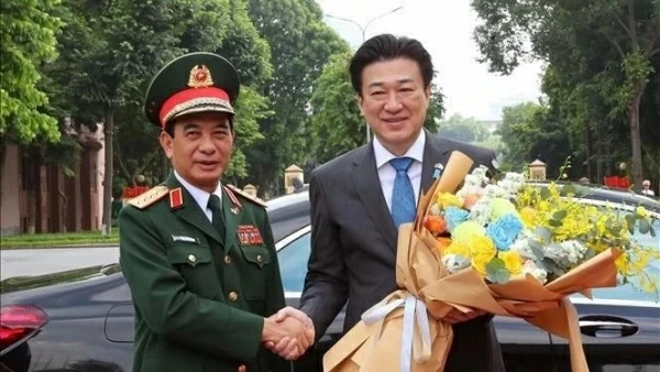 Vietnam, Japan Defence Ministers hold talks to strengthen cooperation