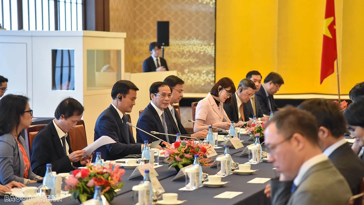 FM Bui Thanh Son held talks, meeting Japanese officials in Tokyo