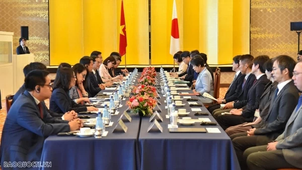 Vietnam-Japan Cooperation Committee's 12th meeting issues Joint Press release