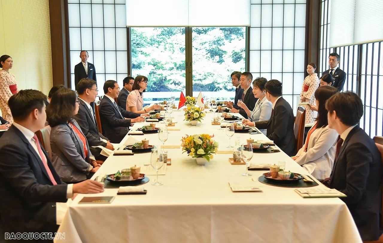 FM Bui Thanh Son held talks, meeting Japanese officials in Tokyo