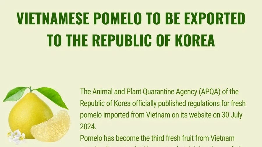 Vietnamese fresh pomelo officially allowed for import into RoK