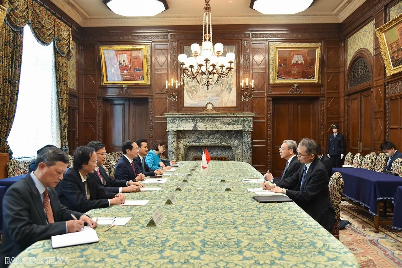 FM Bui Thanh Son meets with Vice President of Japanese House of Councillors, JICA