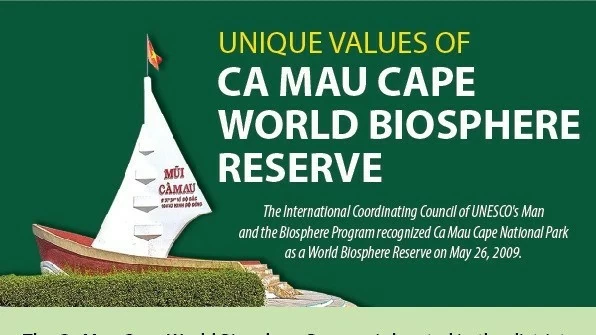 Ca Mau Cape - a world biosphere reserve