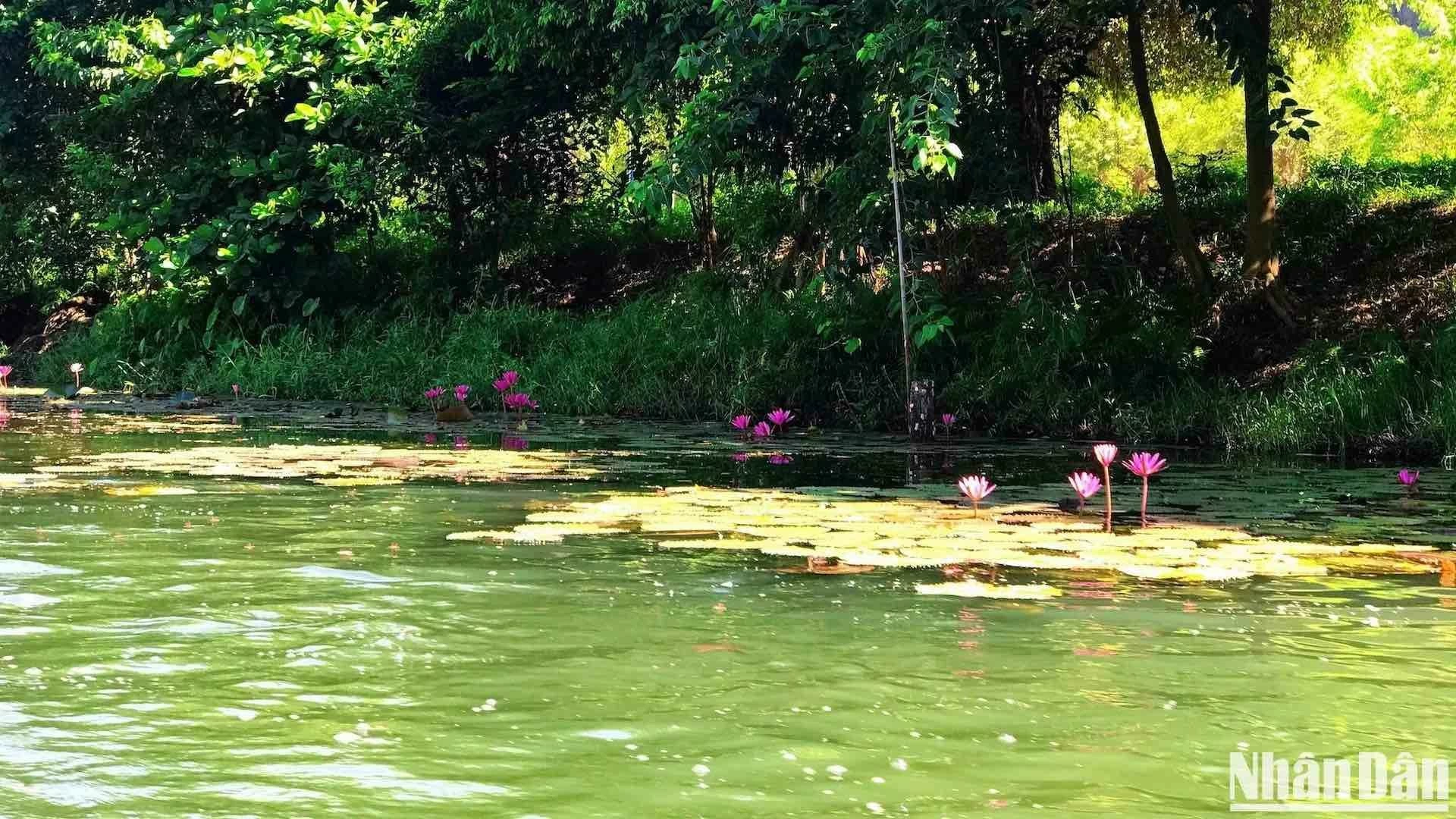 Tràng An những ngày chớm Thu