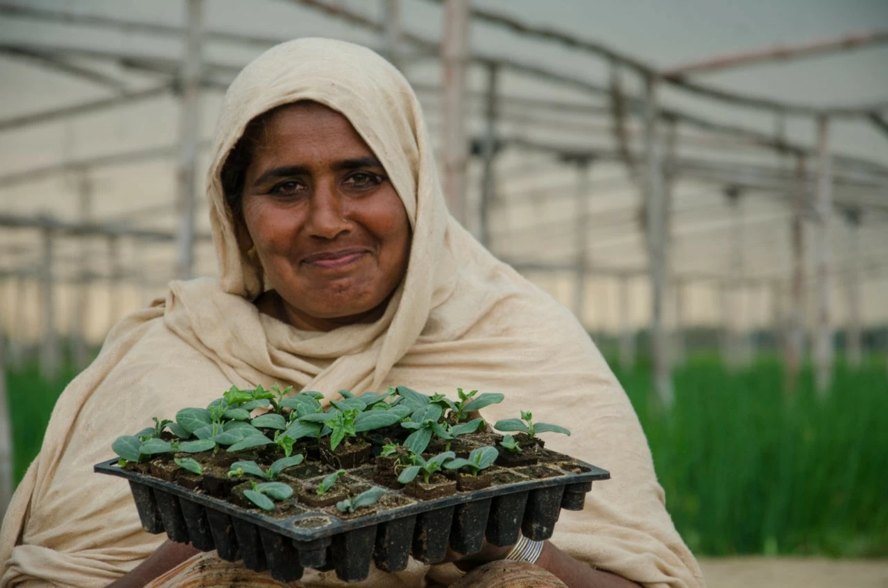 Để cách mạng hoá nền kinh tế, Pakistan ‘bắt tay’ với một ‘ông lớn’ ở châu Á. (Nguồn: CNFA)