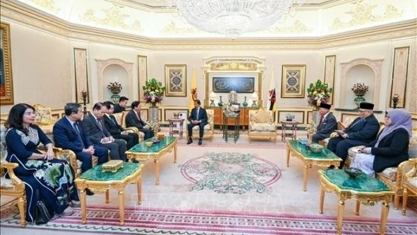 NA Vice Chairman meets with Sultan, Speaker of Legislative Council of Brunei