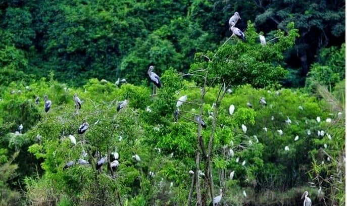 Ghé thăm Bạc Liêu, một trong những trung tâm du lịch vùng đồng bằng sông Cửu Long